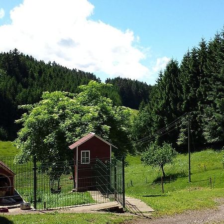 Ferienwohnung Ringwald Biederbach Zewnętrze zdjęcie