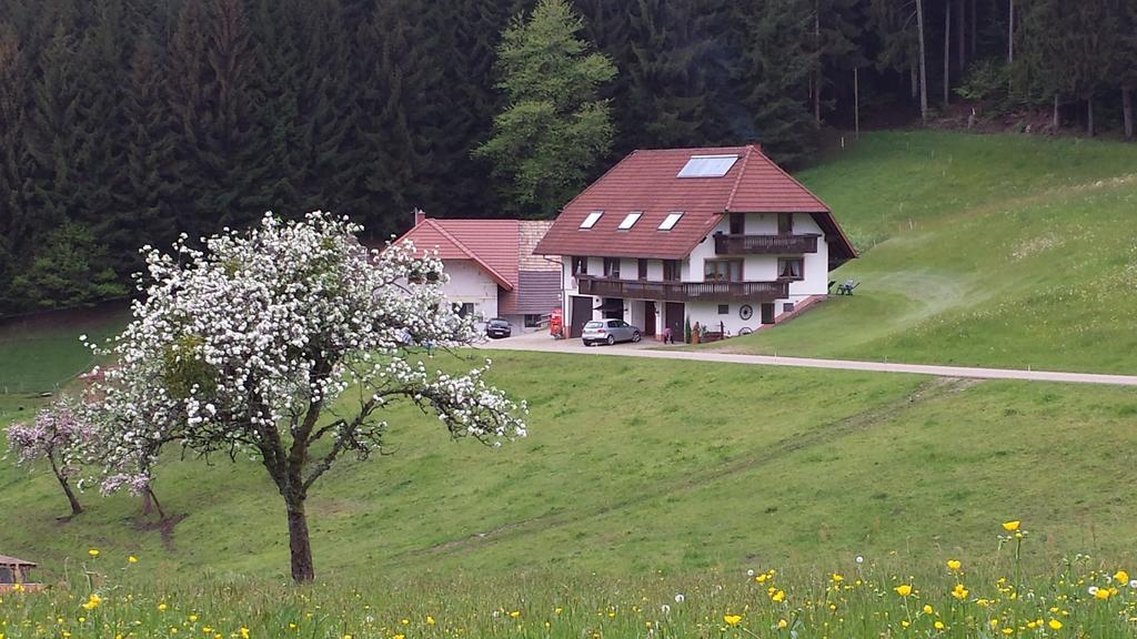 Ferienwohnung Ringwald Biederbach Zewnętrze zdjęcie